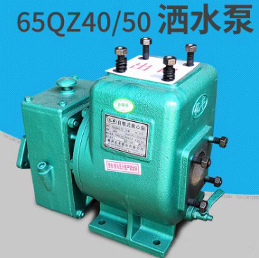 �|�S65QZ40/50����ʽ�x�ı�